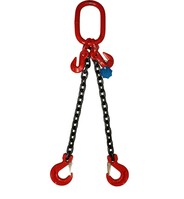 4.25 ton WLL 2 Leg 10 mm Chain Lifting Chain Sling